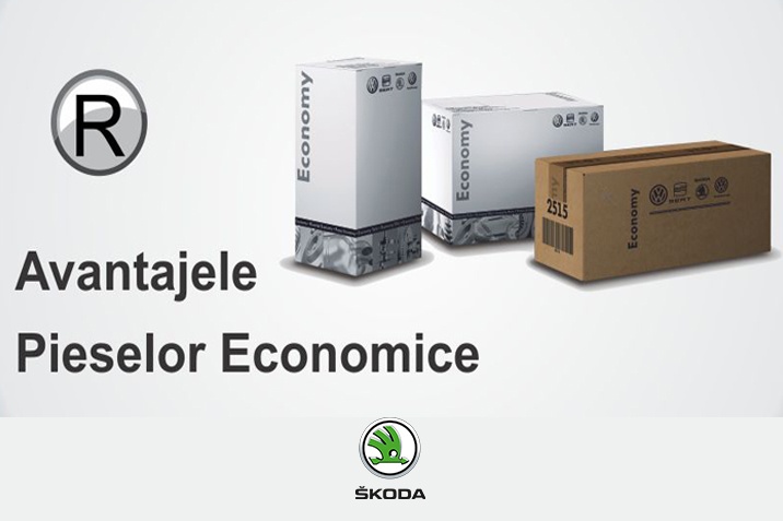 Avantajele Pieselor Economice