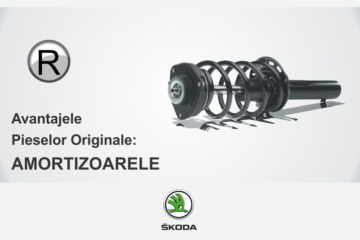 Avantajele Pieselor Originale: AMORTIZOARELE