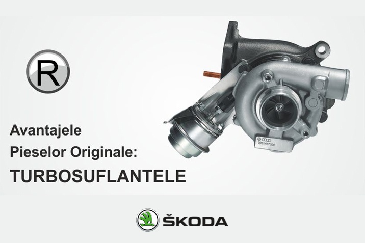 Avantajele Pieselor Originale: TURBOSUFLANTELE
