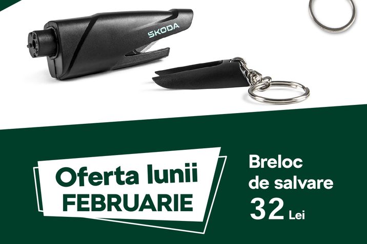 Oferta lunii Februarie SKODA